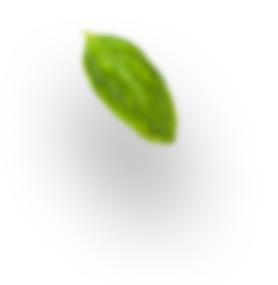 پس زمینه