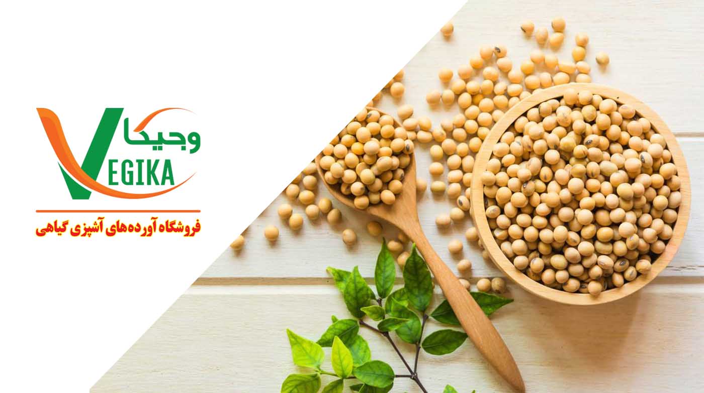 پروتئین بافت‌دار گیاهی (پروتئین سویا)